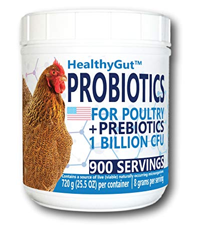 HealthyGut Probiotics for Chickens & Poultry All-Natural Digestive System Dietary Supplement (90 Scoops)