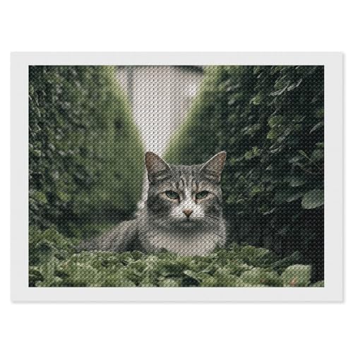 Kit broderie diamant chat mignon 5D - Activité manuelle relaxante salon et chambre adulte 30x40
