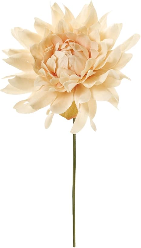 Amazon 東京堂 造花 ベージュ 花径 約10 全長 約cm クリオダリアピック Fm0038 013 造花 オンライン通販