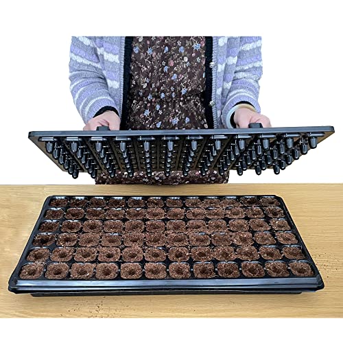 72-Hole Seed Tray Dibber – Plastic Soil Digger And Seed Spacer For Planting Seeds And Bulbs, Seedling Tray Soil Garden Tool, Gift For Gardener. #TOP7