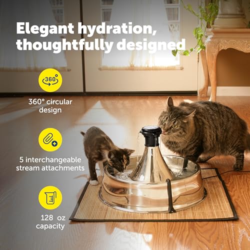PetSafe Stainless Multi-Pet Fountain 128oz with Dual Filtration — view 4