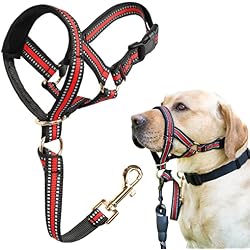 BARKLESS Muzzle Leash for Heavy Pullers, No Pull Stylish Head Halter | Gentle Dog Face Harness Stops Pet Pulling and Choking on Walks, Adjustable Head Collar for Small and Medium Aggressive Dogs