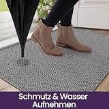 DEXI Schmutzfangmatte Innen 44 x 76 cm, rutschfest Fußmatte waschbar, absorbierend Fussmatte, Dünne Türmatte Eingangsteppich für Haustür & Flur, Grau