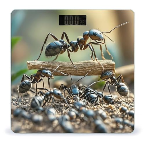 Báscula Digital Ant Bridge de Vidrio Templado para Baño miniatura 1