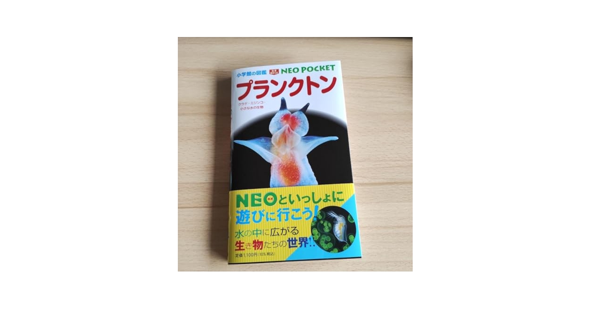 プランクトン 2018年 廃盤1stミニアルバム「微生物図鑑」帯なし Amazon.co.jp: UN-APEX (初回生産限定盤) (特典なし): ミュージック