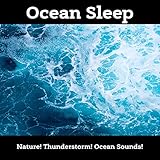 Babmboo Water Fountain