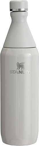 Stanley All Day - Botella delgada de 20 onzas, tapa giratoria con sello a prueba de fugas, diseño delgado para viajes y gimnasio, acero inoxidable