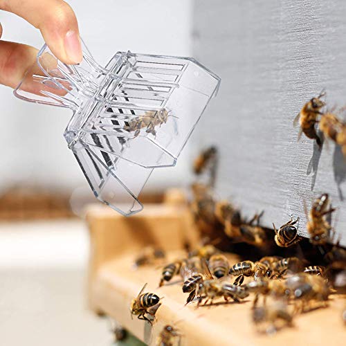 Linpu Ape regina cattura-api clip plastica 5 pezzi...