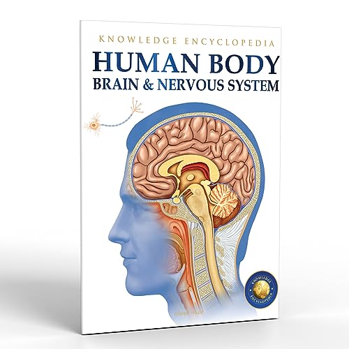 Image of Human Body - Brain And Nervous System: Knowledge Encyclopedia For Children