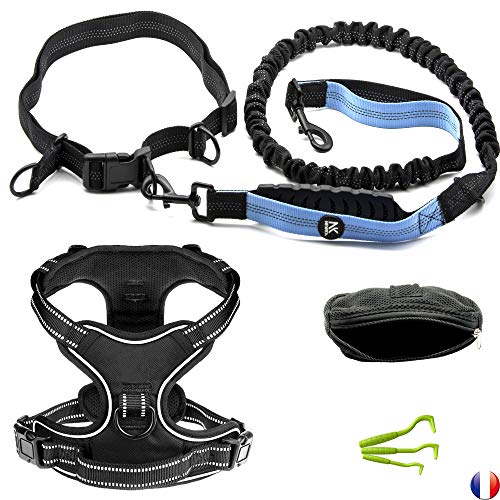 Arnés para perro Newka Canicross Modelo 2020 Negro + Correa de manos libres Retráctil Amortiguador elástico + Corredera, Caminata, Cinturón ajustable + Funda para teléfono móvil, Caramelos