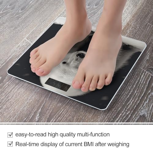 Báscula digital de baño FekiLoot con vidrio templado miniatura 5