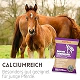 Supravit Luzernecobs 20kg - energiereiches Pferdefutter I Luzernepellets mit hohem Anteil an Carotin I liefert wichtige Mineralien für alle Pferde