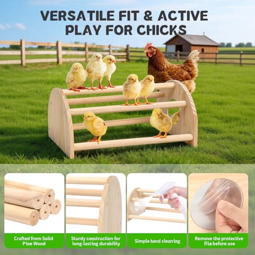 Image of Pine Chicks Perch with Mirror, Strong Chick Jungle Gym Roosting Bar, Chicken Perch Toys for Coop and Brooder, Training Perch Toys for Large Bird, Parrot, Macaw, Hens (Large)