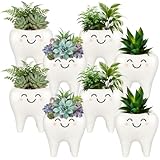 FoldTier Dental Hygienist Gifts Cute Tooth Shaped Planters Ceramic Succulent Cactus Flower Pot Funny Mini Office Pen Holder for Dental Assistant Graduation Accessories Dentist Office Decor(8 Pcs)