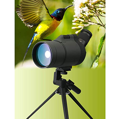 Telescopio Monocular Resistente Agua y Niebla 13×50X Zoom miniatura 2