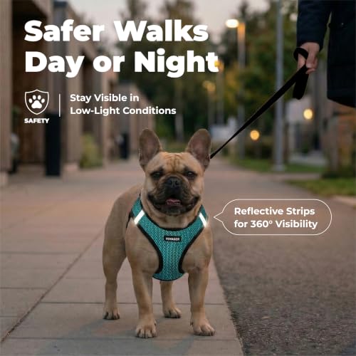 Image of Voyager Step-in Air Dog Vest Harness - Turquoise 2-Tone, Small | 14.5-16 inch in Chest, Reflective Bands, All Weather Breathable Air Mesh, Cats Compatible, Lightweight, Fast Drying