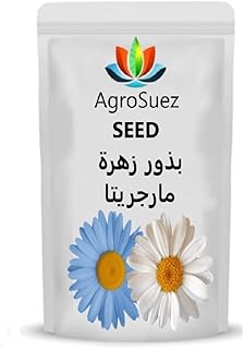 Orchida Flower Seeds (Margarta)