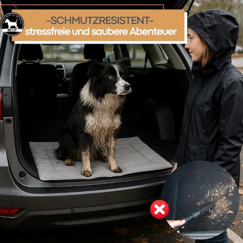 Abby&Ivy Hundedecke für Unterwegs 90x70cm- Faltbare, Waschbare, Rutschfeste Decke für kleine und mittlere Hunde - Leicht, Robust, Pflegeleicht & Isolierend, Ideale Resiedecke, Auto - und Outdoor-decke