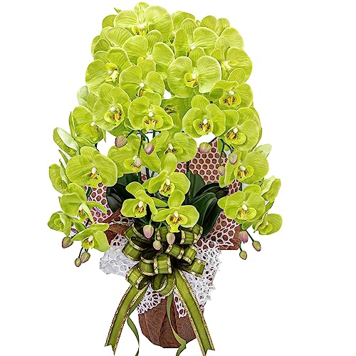 Ӓ 5{   1 ԕrt D bZ[WJ[h j J LO   CeA H1_010