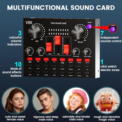 Interface audio avec micro cardioïde BM800 pour joueur