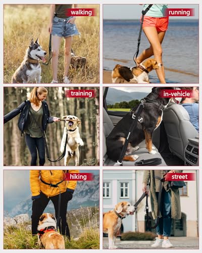 WANFIRE Freihandleinen Hundeleine, Joggingleine Hunde, Lange Hundeleine mit Autosicherheitsgurt und doppelseitigen reflektierenden Nähten für mittelgroße und große Hunde zum Spazierengehen (Schwarz)