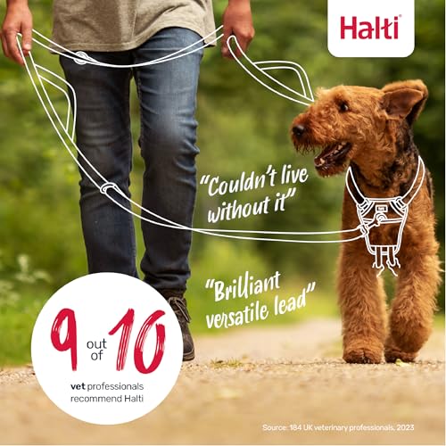 Halti Control Hundeleine, mit 2 Griffen | Größe Groß, Schwarz, 2 m