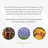 Savage Elixir Car Air Freshener – Aromatherapy Inspired Cars Perfume, Purifier Removes Odours – Car Fragrance with Essential Oil, Diffuser for Houses & Vehicles - Wild One Elixir (Diffuser 8ml) #1