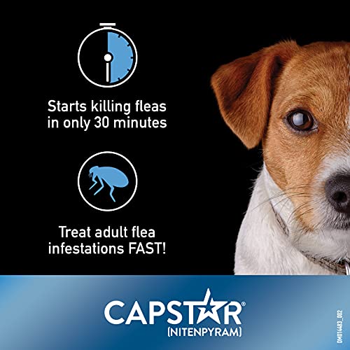 Capstar (Nitenpyram) Fast-Acting Flea Treatment + Petarmor Plus Long-Lasting Flea And Tick Protection Bundle Pack For Small Dogs #TOP2