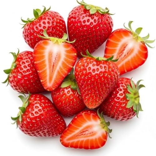 100 Red Strawberry Seeds – Easy-to-Grow Garden Seeds for Juicy, Sweet, Homegrown Fruit – Perfect for Beds, Containers, Trellises – Beginner-Friendly Strawberry Plants
