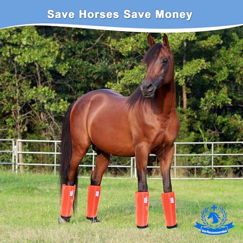 Image of Horse Fly Boots Set of 4, Fly Boots for Horses, Leggings for Horses, Reduce-Stomping, Breathable Mesh, Loose Fitting, Stay Up Not Sag, No Rub
