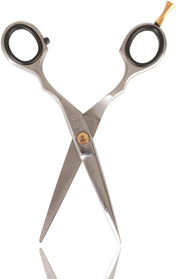 SALON SERVICES S1 SCSSOR 5.5IN