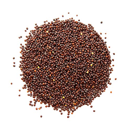 Miniatura 2 de Spice Jungle Semilla de Mostaza Negra - 1 oz.