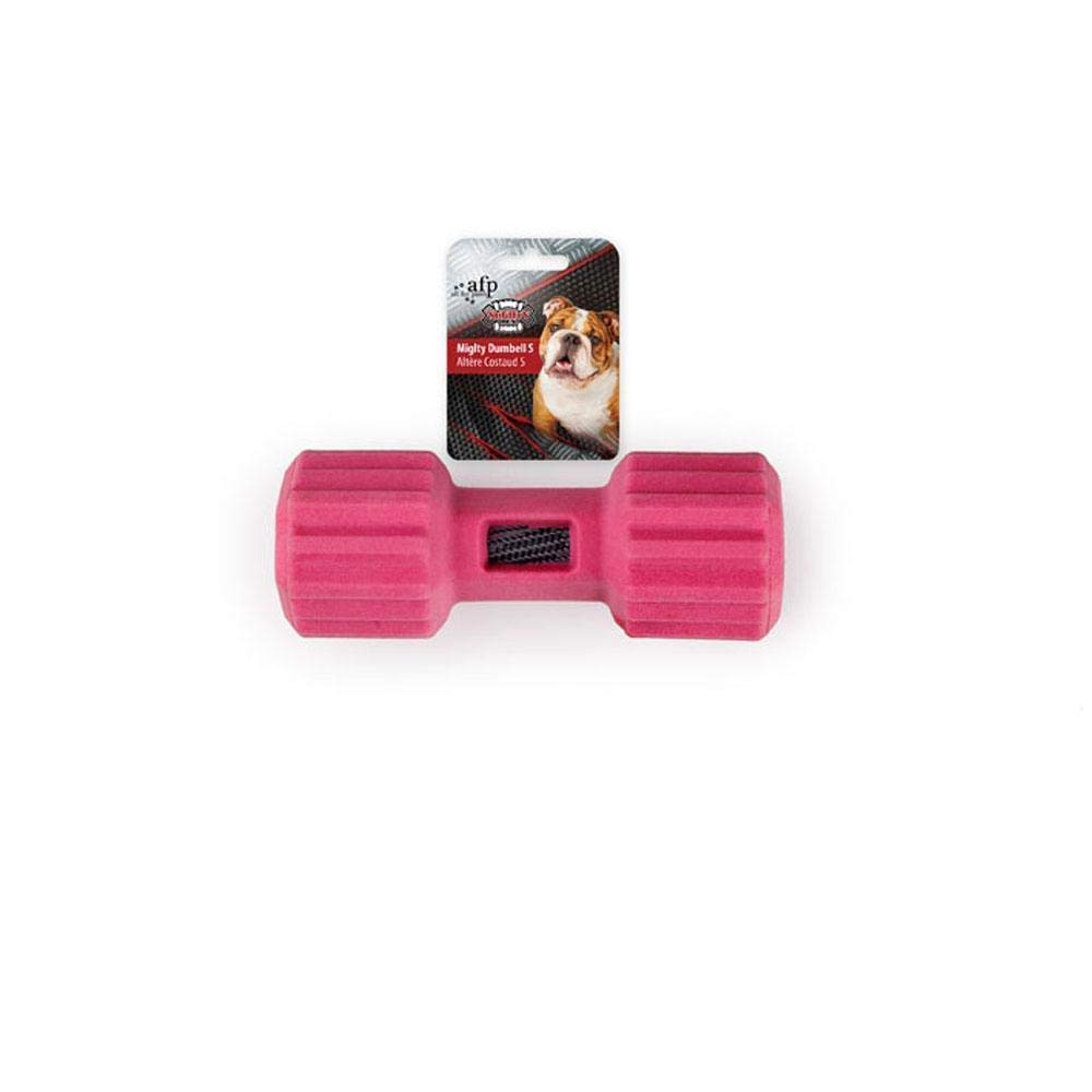 ALL FOR PAWS Mighty Rex Dumbell Dog Chew Toy, Small, Black, 1.5 kg