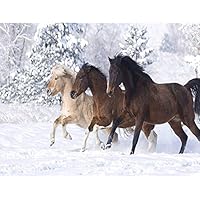 YEESAM ART Peinture Par Numero, Les Chevaux Horses Peinture Numero 40x50 Cm Bricolage Acrylique Paint By Numbers