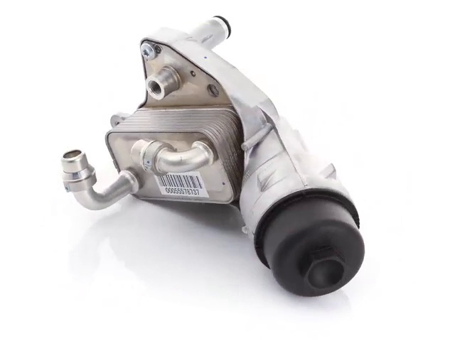 Amazon.com: ACDelco Professional 55578737 Engine Oil Filter 