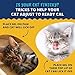 Under the Weather Pet | Ready Cal for Kitten | High Calorie Pet Nutritional Supplement for Weight Gain & Healthy Weight Maintenance | 10 Vitamins, 7 Minerals, Omega Fatty Acids & Carbohydrates | 80cc