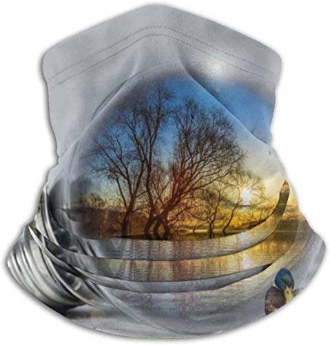 Preisvergleich Produktbild DJNGN Stockente Glühbirne Hintergrund Unisex Mikrofaser Halswärmer Kopfbedeckung Abdeckung Schal für Winter kaltes Wetter Bandana Sturmhaube