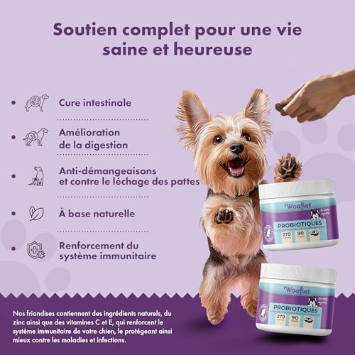 Probiotiques Friandises digestives pour Chiens - 90 pièces - Renforce la Flore intestinale et améliore Le système immunitaire - Ingrédients 100% naturels Prébiotiques (Bœuf) – Image 3