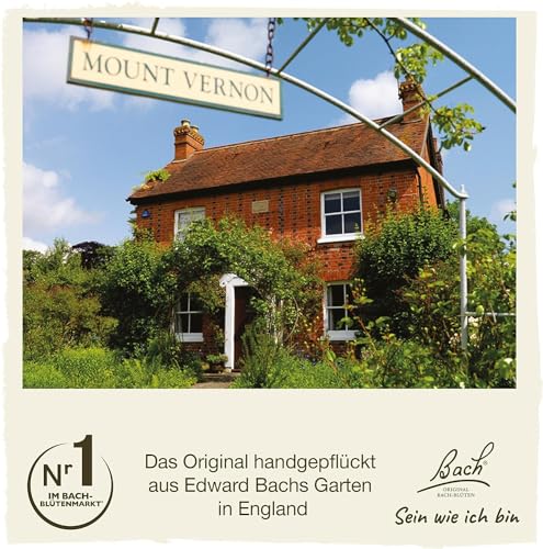 Original Bachblüten Tropfen Nr. 13 Gorse: Neue Kraft und positive Gedanken mit der Bach-Blüte Stechginster, 20ml