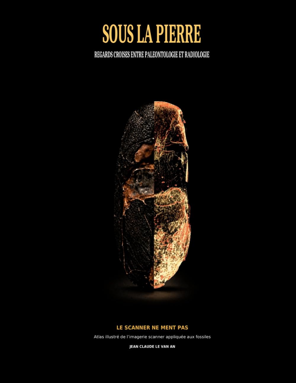 Sous la pierre: Regards croisés entre paléontologie et radiologie