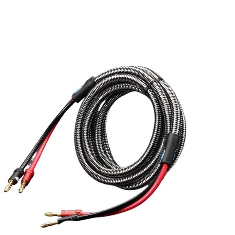 Wen ST HiFi Cable with Banana Plug for Audio Amplifier Home Theater Surround Sound System Gold Plated OFC Cable 1M 2M 300cm 5M 8M(A Pair (White),2meters)