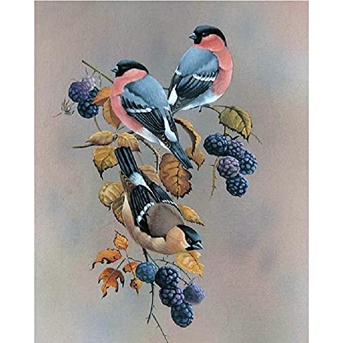 Diamant Peinture Kit Three little birds cadeau créatif idéal pour adulte