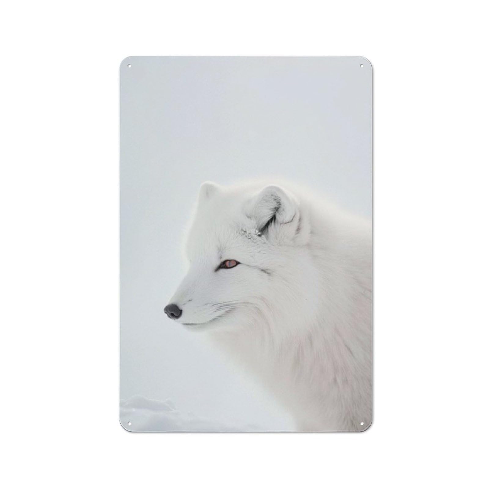 Tin Wall Plaque 30x20cm with Polar Purity Arctic Fox for Hobby Room Or Studio, for Themed Interiors in Hobby Rooms And Studios