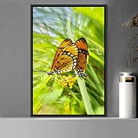 Framed Canvas Wall Art Butterfly Expressive Farmhouse/Country Home Office Insects Lake Multicolor Photography - 16x24 inches