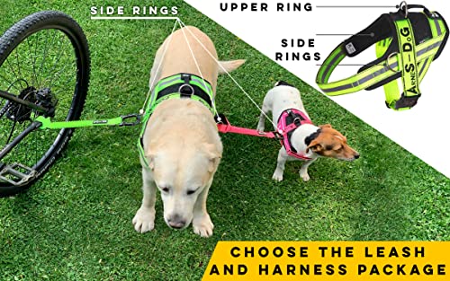 Dog Bike Leash, Hands Free Dog Leashes. Dog Bicycle Lead For Small, Medium And Large Dogs, Designed To Lead One Or More Dogs With Maximum Safety, Easy Assembly Without Tools. Patented Product. #TOP1