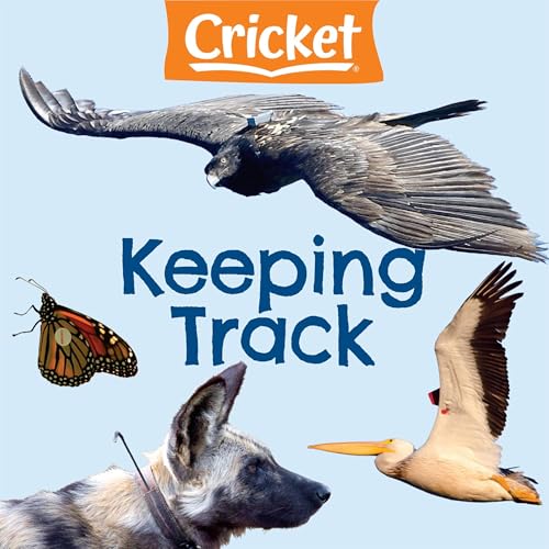 Keeping Track by Amy Tao episode artwork