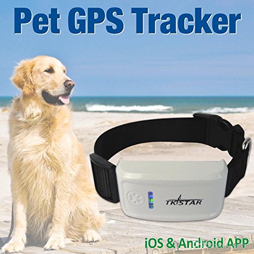 Elvy Red TKSTAR TK909 Global Locator Real Time Portable Pet GPS