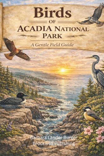 Birds of Acadia National Park