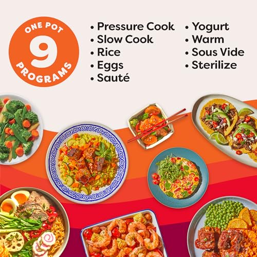 9-in-1 Pressure Cooker and Air Fryer