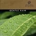 Gentle Rain (Natural Wonders Series)